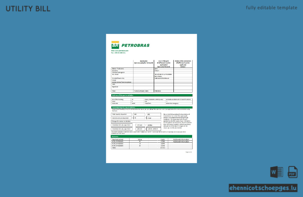 Beispielrechnung des Gasversorgungsunternehmens Petrobras Paraguay Operations and Logistics (Paraguay) im Word- und PDF-Format